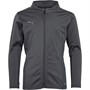 Puma Boys Cup Training Jacket Asphalt/Ebony/Smocked Pearl