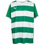 Puma Junior Boys Liga Hooped Jersey Pepper Green/White