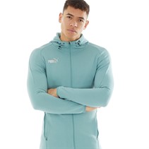 Puma Mens Teamfinal Casuals Hooded Jacket Mineral Blue