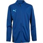 Puma Junior Boys Cup Training Jacket Limoges/Peacoat/Blue Atoll