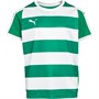 Puma Boys Liga Hooped Jersey Pepper Green/White
