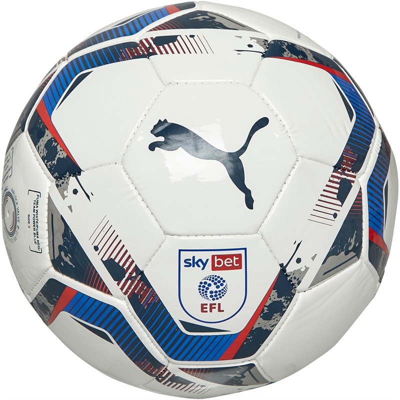 Puma EFL Teamfinal 6 Sky Bet MS Training Football Multi