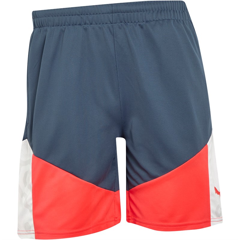 Puma Mens IndividualCUP Shorts Puma White