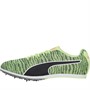 Puma Mens Evospeed Star 6 Running Spikes Yellow/Black