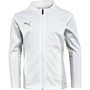 Puma Boys Cup Training Jacket Puma White Grey/Violet/Limestone