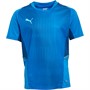 Puma Boys Cup Graphic Training Top Ignite Blue/Limoges/Luminous Blue