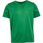 Puma Boys Flash Jersey Pepper Green