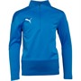 Puma Kids Goal 1/4 Zip Training Top Electric Blue Lemonade/Team Power Blue