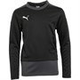 Puma Kids Goal Training Sweat Puma Black/Asphalt
