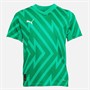 Puma Junior Team Graphic Short Sleeve Goalkeeper Jersey Grassy Green