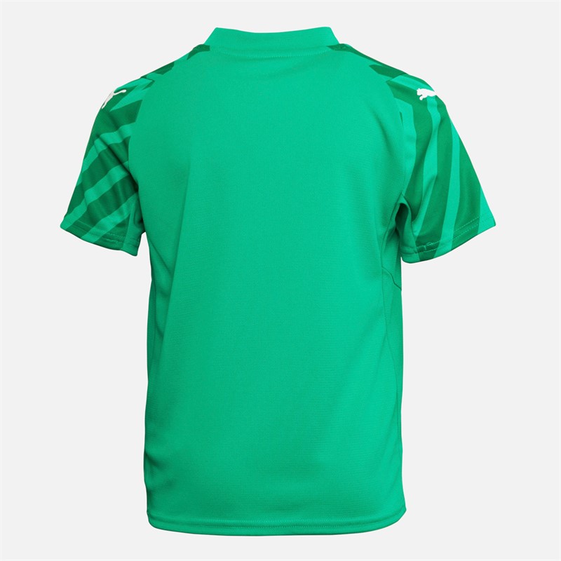 Puma Junior Team Graphic Short Sleeve Goalkeeper Jersey Grassy Green