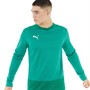 Puma Mens Goal Training Sweat Pepper Green/Power Green