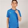 Puma Junior Boys Goal 23 Jersey Electric Blue Lemonade/Team Power Blue