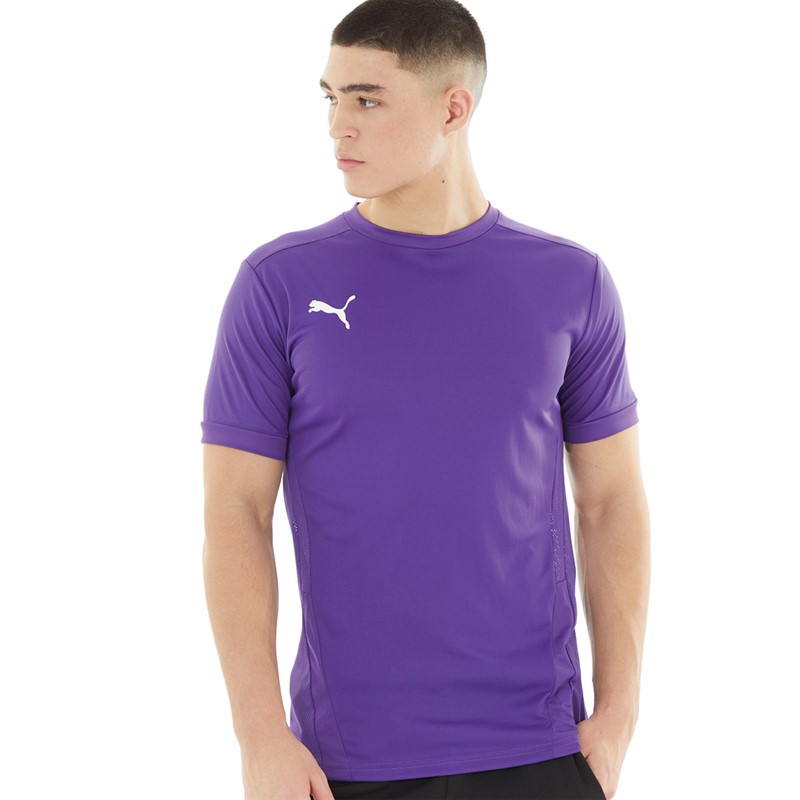 Buy Puma Mens Goal 23 Jersey Prism Violet Tillandsia Purple