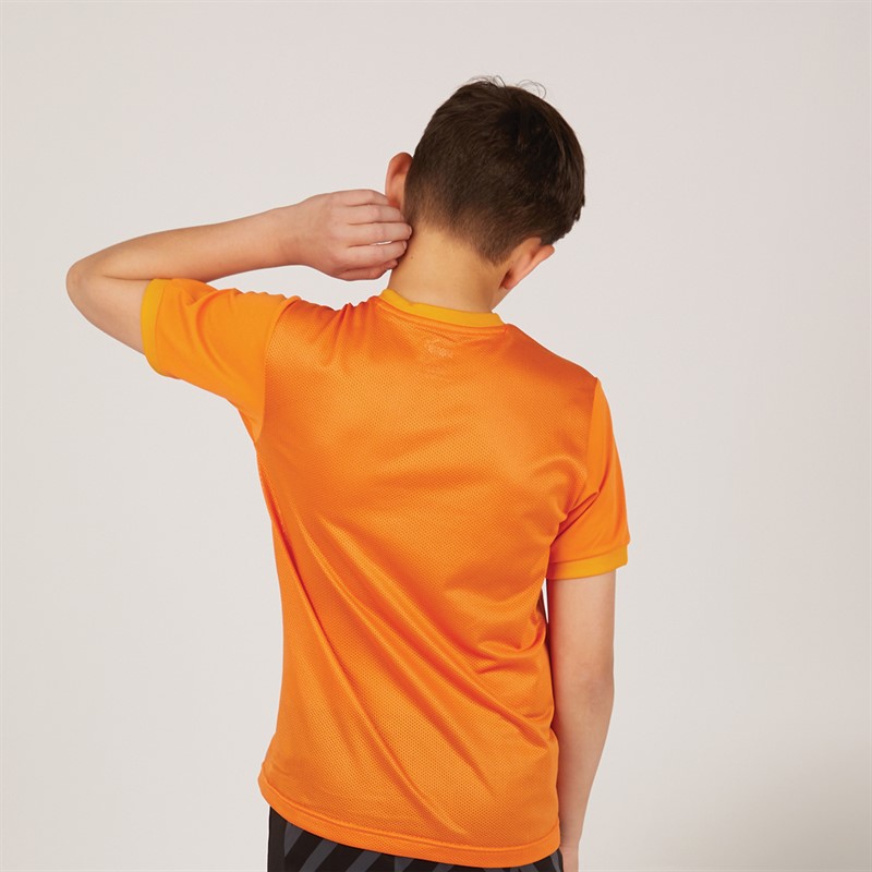 Puma Junior Boys Goal 23 Jersey Golden Poppy/Flame Orange