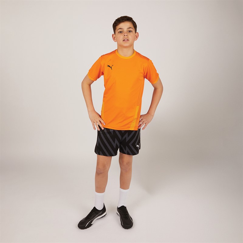 Puma Junior Boys Goal 23 Jersey Golden Poppy/Flame Orange