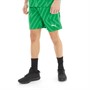 Puma Mens Team Graphic Goalkeeper Shorts Grassy Green