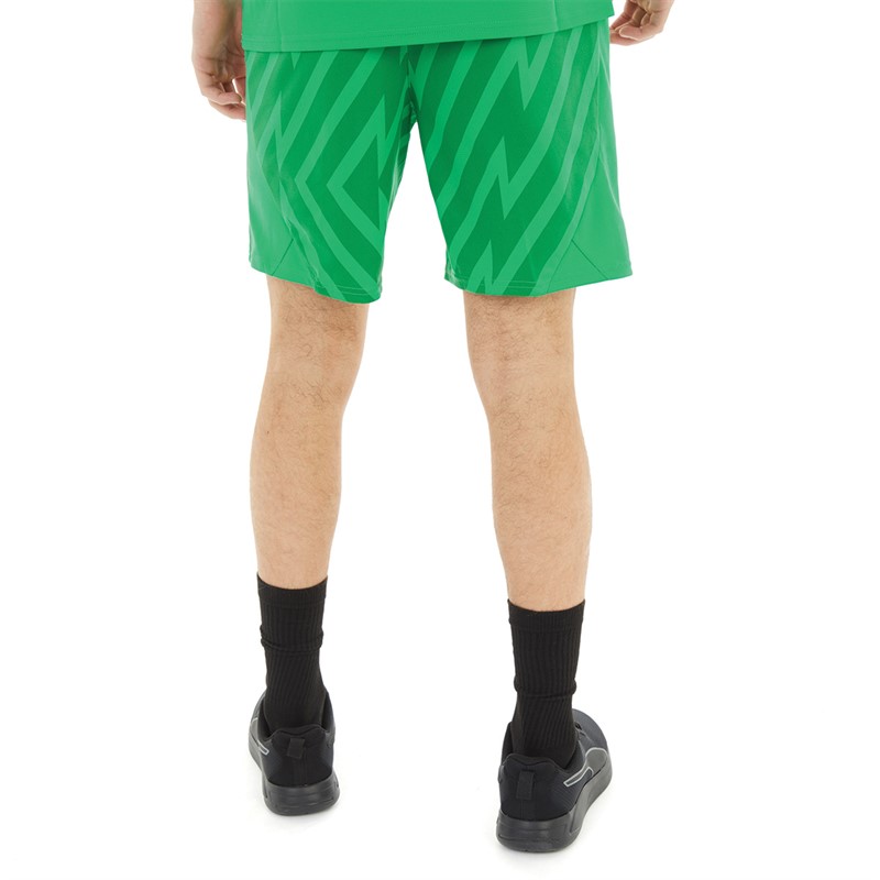 Puma Mens Team Graphic Goalkeeper Shorts Grassy Green