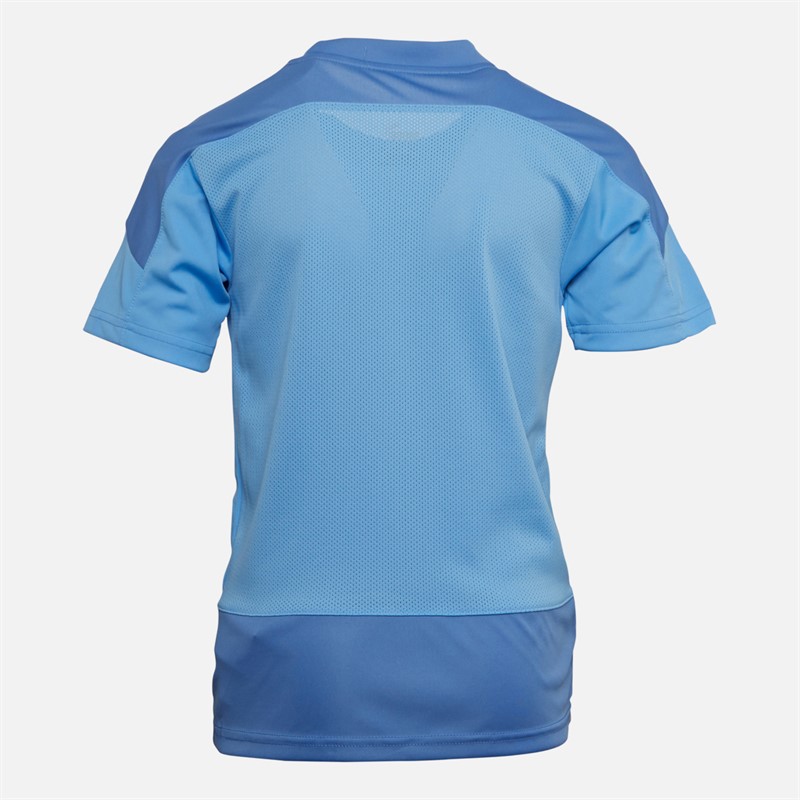 Puma Junior Boys Goal Training Jersey Team Light Blue/Blue Yonder