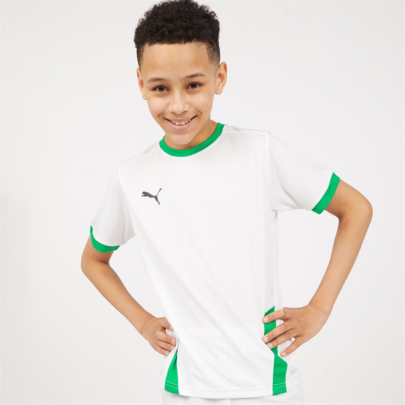 Puma Junior Boys Goal 23 Jersey Puma White/Pepper Green