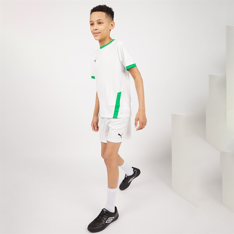 Puma Junior Boys Goal 23 Jersey Puma White/Pepper Green