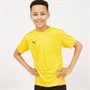 Puma Junior Boys Goal 23 Jersey Cyber Yellow/Spectra Yellow