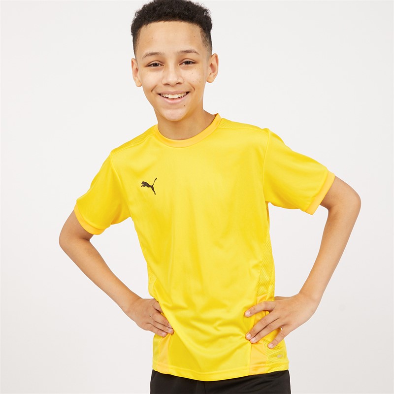 Buy Puma Junior Boys Goal 23 Jersey Cyber Yellow Spectra Yellow