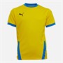 Puma Junior Boys Goal 23 Jersey Cyber Yellow/Electric Blue Lemonade