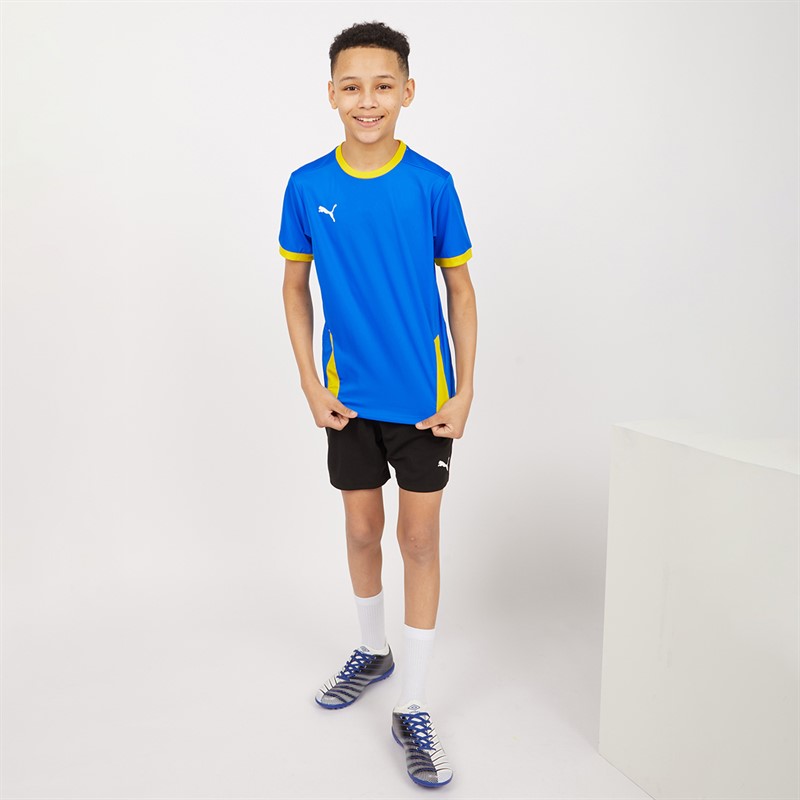Puma Junior Boys Goal 23 Jersey Electric Blue Lemonade/Cyber Yellow