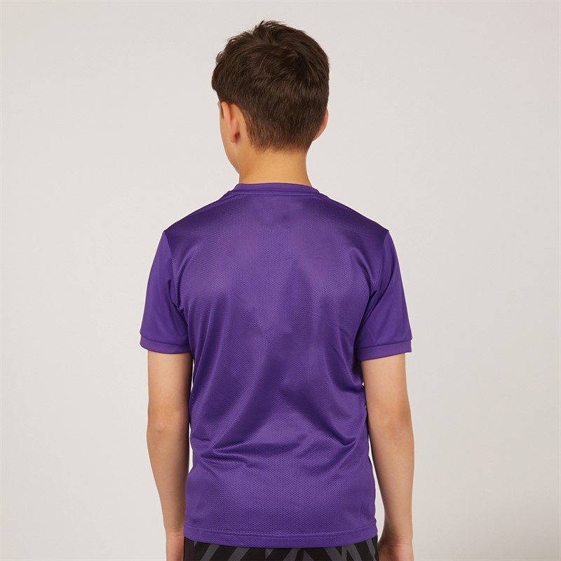 Puma Junior Boys Goal 23 Jersey Prism Violet/Tillandsia Purple