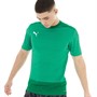 Puma Mens Goal Training Jersey Pepper Green/Power Green