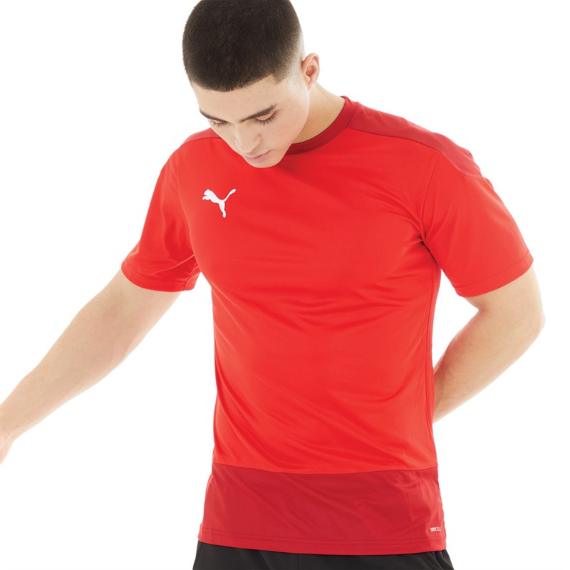 Buy Puma Mens Goal Training Jersey Puma Red/Chili Pepper