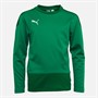 Puma Junior Boys Goal Training Sweat Pepper Green/Power Green