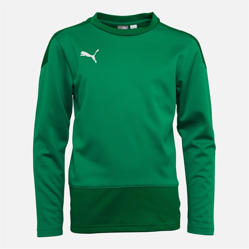 Puma Junior Boys Goal Training Sweat Pepper Green/Power Green