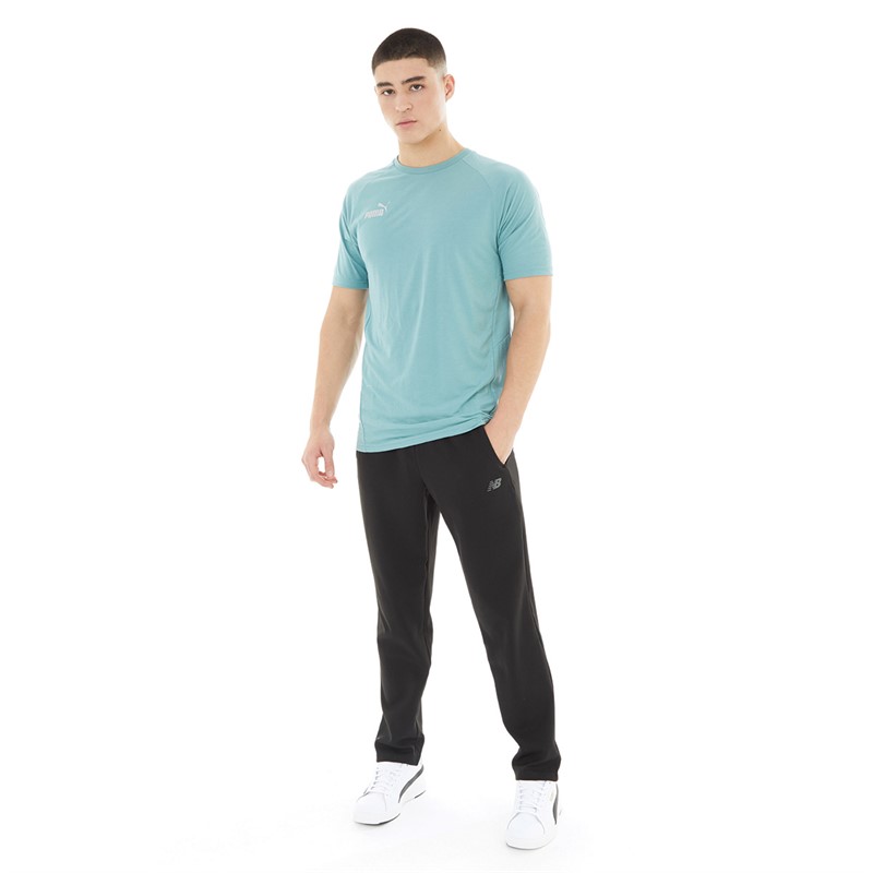 Puma Mens Teamfinal Casuals T-Shirt Mineral Blue