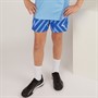 Puma Junior Boys Team Graphic Goalkeeper Shorts Blue Glimmer