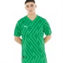 Puma Mens Team Graphic Short Sleeve Goalkeeper Jersey Grassy Green