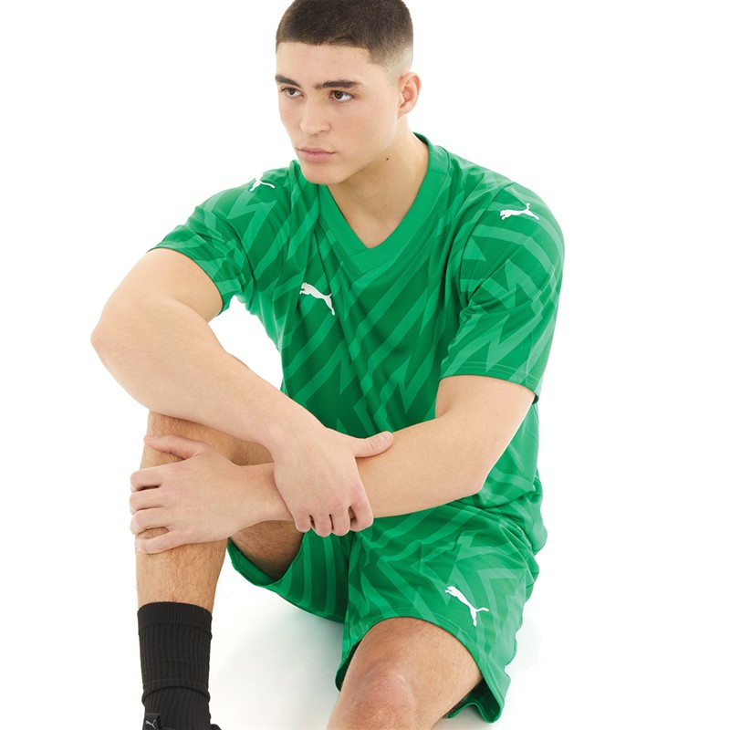 Puma Mens Team Graphic Short Sleeve Goalkeeper Jersey Grassy Green