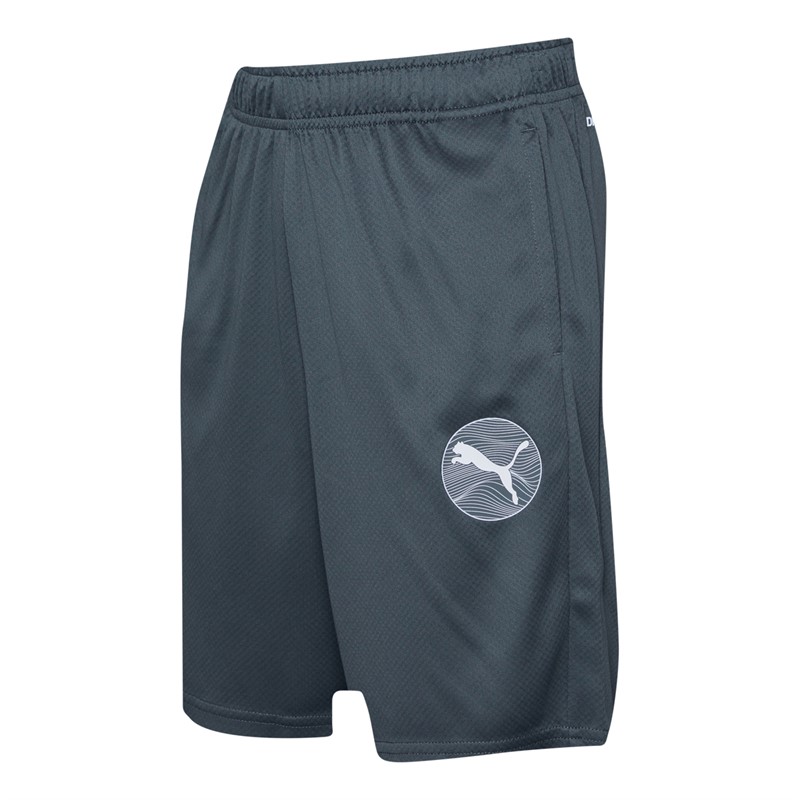 Puma Junior Boys Active Sports Poly Shorts Grey