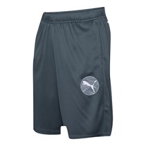 Puma Junior Boys Active Sports Poly Shorts Grey