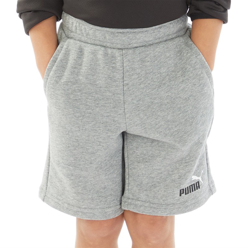 Puma Junior Boys Essentials Shorts Medium Grey Heather