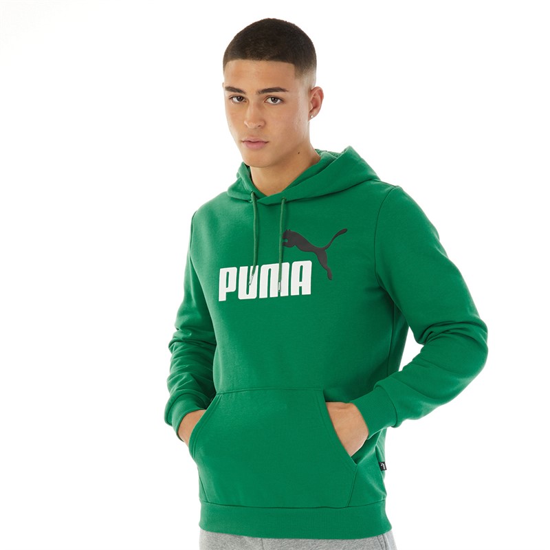 Buy Puma Mens Essentials 2 Big Logo Hoodie Green