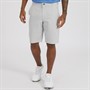 Puma Herren Golf Tech 2.0 Performance Sportshorts Grau