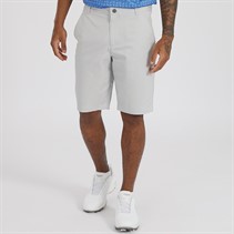 Puma Mens Golf Tech 2.0 Shorts Ash Gray