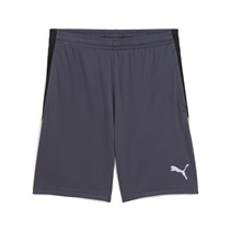 Puma Herren Individualliga Performance Sportshorts Grau