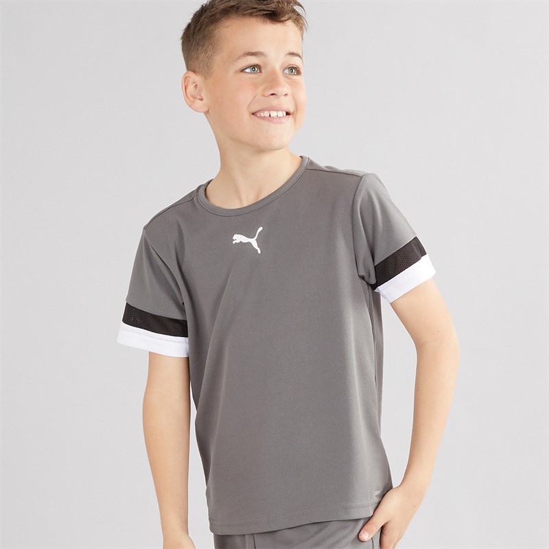 Puma Junge TeamRISE Trainings Trikot Smoked Pearl / Puma Schwarz / Puma Weiss