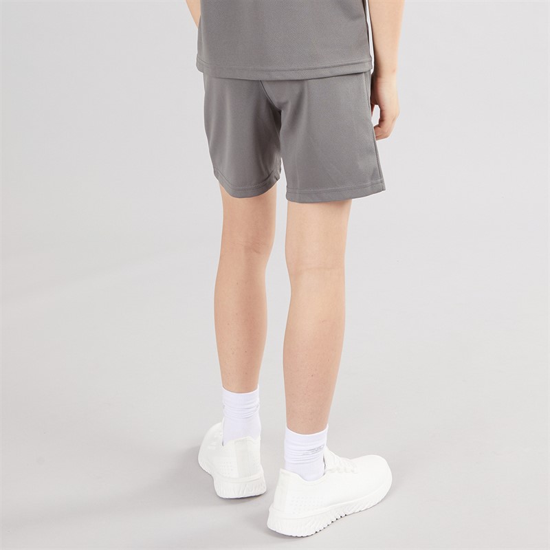 Puma Junge TeamRISE Trainingsshort Smoked Pearl / Puma White