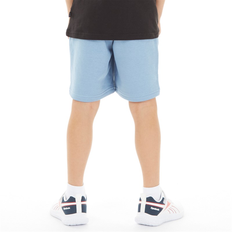 Puma Jongens Grafische Sweat Shorts Zen Blauw