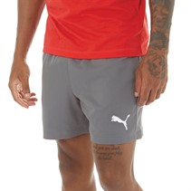 Puma Heren Essentials 5 Shorts Castlerock