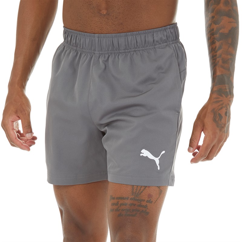 Puma Heren Essentials 5 Shorts Castlerock